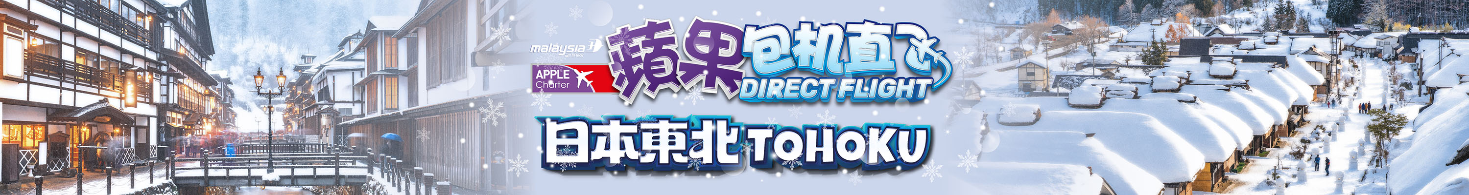 Tohoku Charter Flight